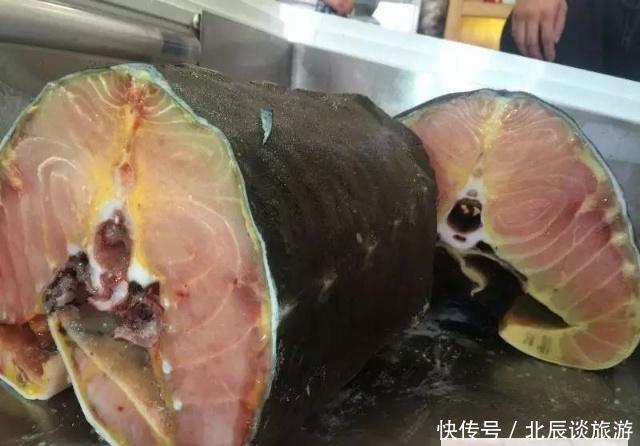 这鱼在地球生存1亿年，从未有过天敌，如今却败在中国吃货的嘴下