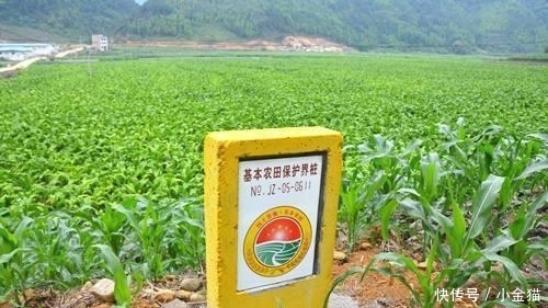 明年起, 农村“乱搭乱建”现象将被严查, 专家: 谁建的谁拆!