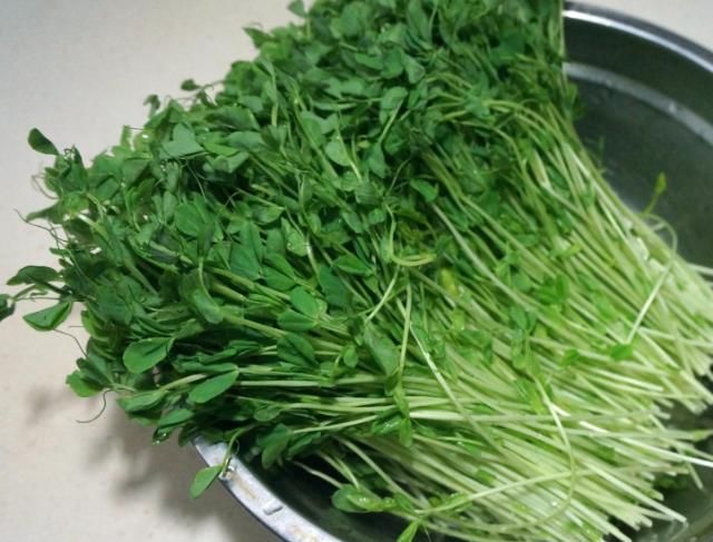「白嫩」这菜不吃,再等一年,隔夜排臭便,嘴巴不臭了,多吃不长肉,美白嫩肤