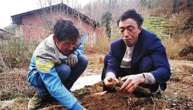  #利润#亩利润7万，农民种了就赔，可依然有人挣钱，秘诀是什么