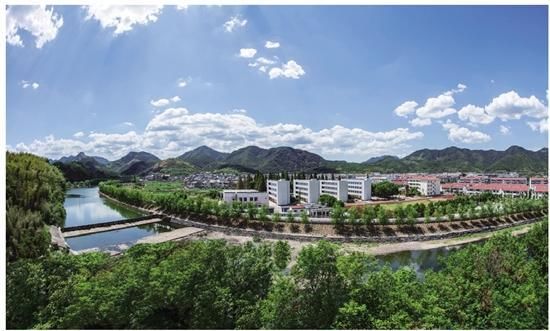 乡村振兴开新局 改革创新结硕果