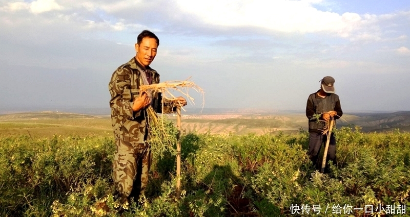  补贴|2019年，农村独生子女家庭福利提高，这5项补贴免费领取！