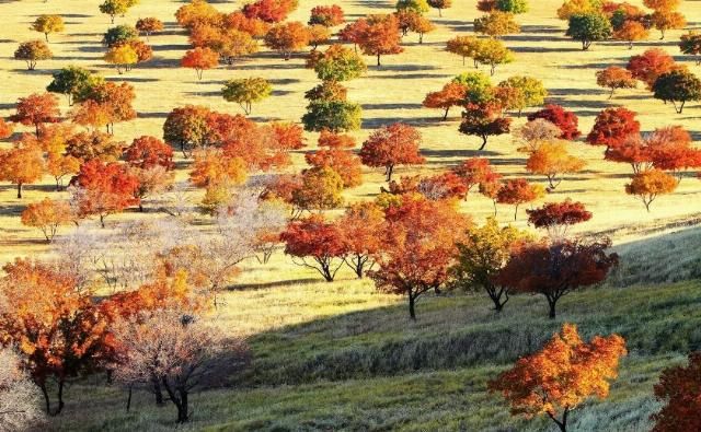 专属于十月的旅行目的地 你知道几个?