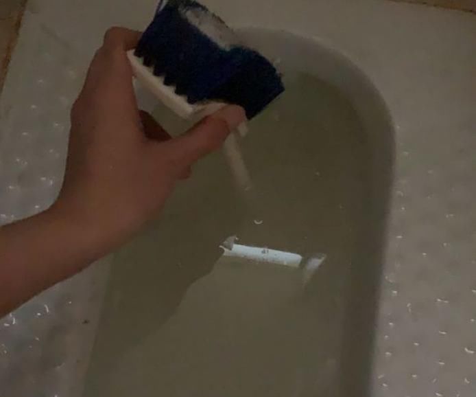  马桶|往马桶里倒了一袋豆腐猫砂是什么体验？半夜主人还在通马桶...