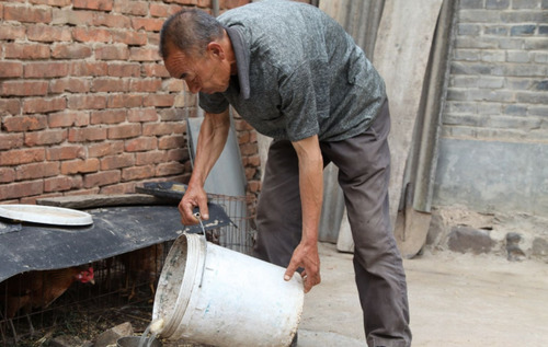 农民也能领退休金？每月可以领多少，看专家怎么说