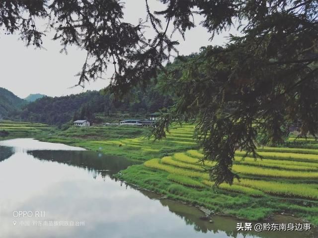 跟着秋的脚步，踏进了稻谷飘香的花院！