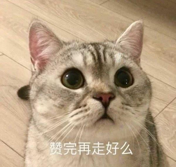  『消弱』炉石传说：刚公布就被預言要消弱？这张盗贼橙卡究竟怎样？