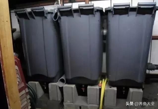  「漂亮」这么漂亮的龙池，竟然用3个垃圾桶做过滤？