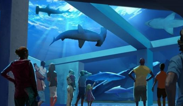 世界上最大的水族馆：安检比机场还严，里面住着世界最大的鱼类！