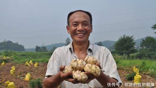 农民与时俱进，根据市场需求种植它，11元每斤，年入20多万