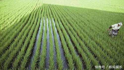 为什么国外这些生物会泛滥成灾, 在中国会濒临灭绝