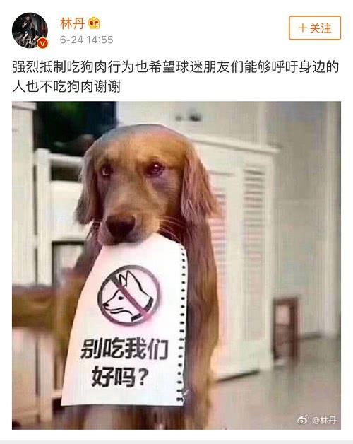 林丹发微博抵制吃狗肉遭围攻：管不住JB的人就别操心别人的嘴巴