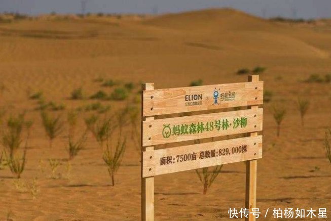 世界上最没面子的沙漠，中国花60年种满绿植，将被彻底消灭