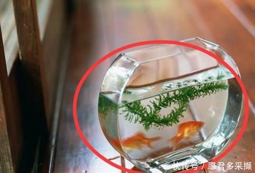 #回家#这五样东西不要放卧室里,难怪身体越来越差,回家立马扔了