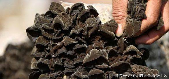 靠山吃山的农民，用废旧物种植它，一斤2元以上，每亩进账6万元