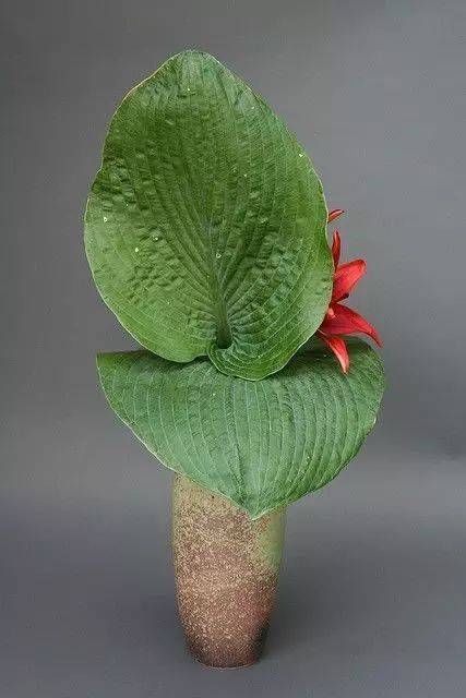 「植物叶片」切叶 | 插花造型艺术中的配角!