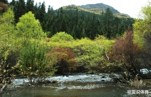  国家@中国最厉害的一个省，它还在一天，中国就会非常稳妥！