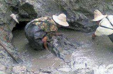 农民大爷在自家池塘意外挖到百年木棺，打开后脸色却瞬间变了！