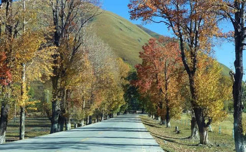  宜宾：四川“最适合”居住的城市，不是成都和宜宾，也不是绵阳