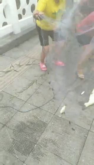  「惊现」奇闻！小清河惊现“鱼山鱼海”“万鱼奔腾”场面