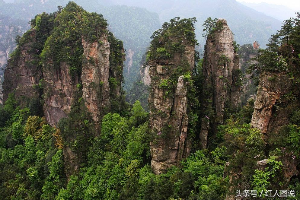 世界上最险的一块“空中稻田”:位于万丈高峰顶上，就在中国