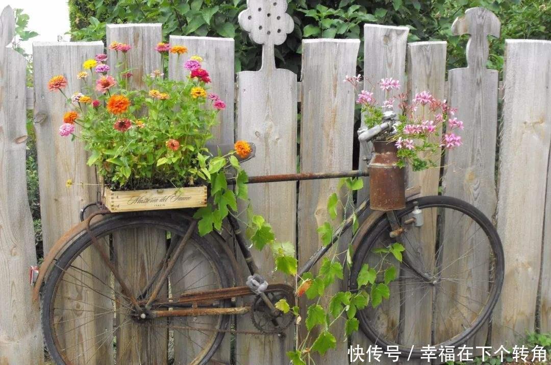  「快乐」篱笆小院住在乡村的快乐，你想体验吗！