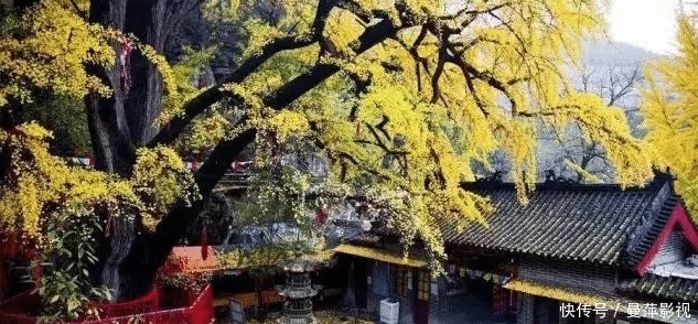  『堪称』山东一个美丽尼姑庵，堪称现实版桃花源，距今已有近千年的历史