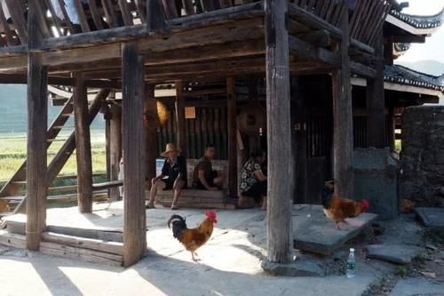 闻树义:百里侗乡