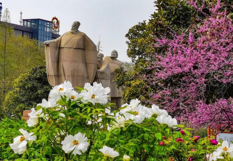  『牡丹公园』洛阳免费的赏牡丹地方，收藏起来来约吧