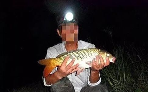 「钓法」夜钓鲤鱼,真的不用吹,这套钓法最管用,大鲤鱼接连入护