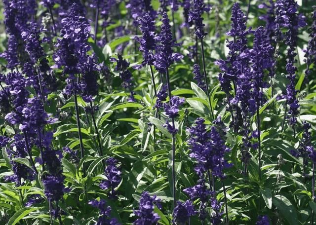 起床后有这3个问题的，说明是螨虫在毛孔里“工作”一整夜的成果