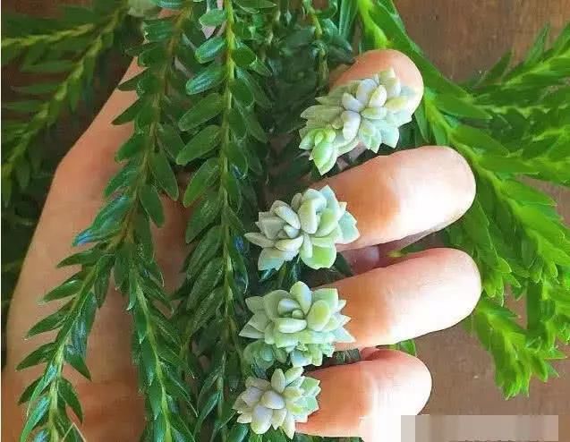 全球最奇葩美甲:第一个就笑喷了，最后一个看的整个人起鸡皮疙瘩