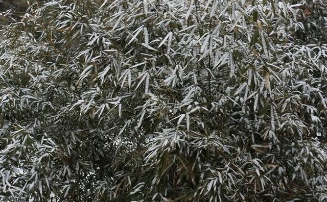 2019年第一场雪下了！第一台风即将形成，南方气温变化大