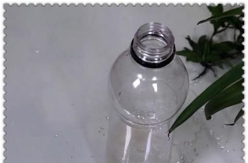  「油绿」土豆丝水倒花盆里，不黄叶叶片油绿，蹭蹭疯长爆满盆