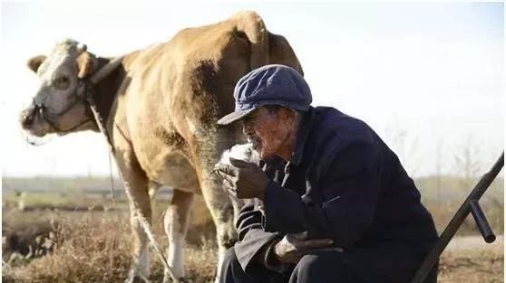  「危机」未来农村将出现四个危机！作为农民的你将作何打算？