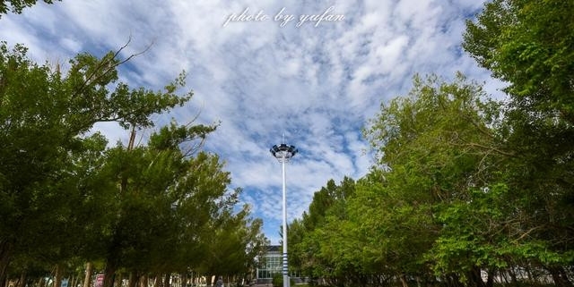 青海茫崖:柴达木盆地的奇迹之城,戈壁滩上的生命绿洲