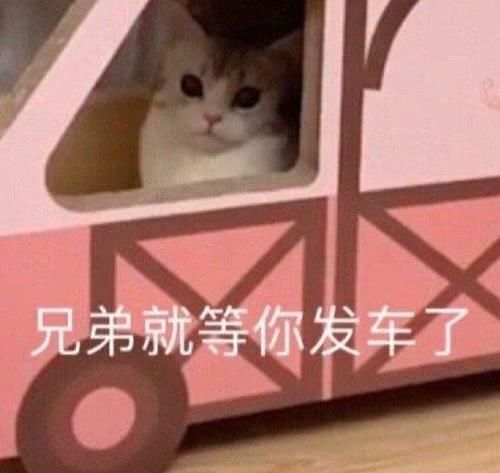  「能将自己」衬衫这样穿，衣柜的衣服会越穿越少，却越美