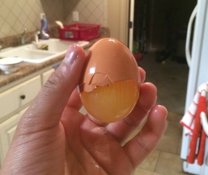 15张引人注目的照片，来自摄影师高超的技术，还有完美的巧合