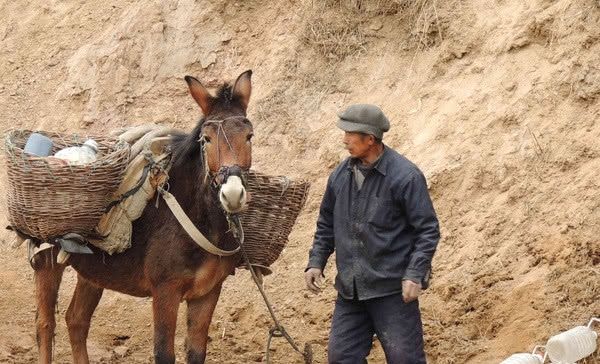  礼尚往来■农村俗语“路有三不走，礼有三不随，钱有三不借”，