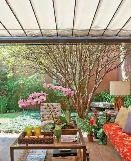  『花房』想要一个玻璃花房，安守四季的阳光