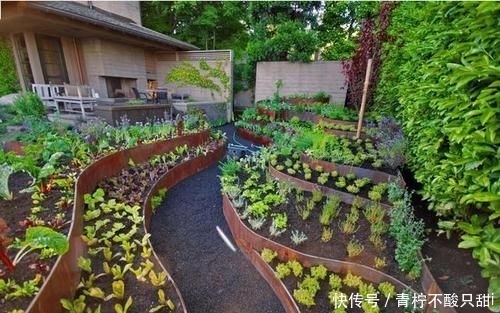  『生活』想有个带院子的房子，看花开叶落一辈子，让生活变成一件浪漫的事