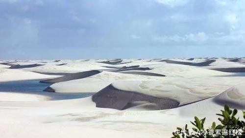 世界上最神奇的沙漠，这里的水比沙子还多，很多鱼虾鸟在此生活