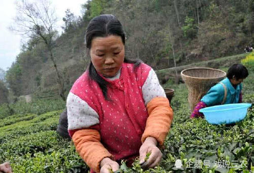 今年起，国家对出嫁女的户口有了新规定，必须落实，不得强制！