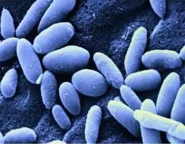 年赚28亿,徐峥&曹格夫妇纷纷变下线,张庭两口子搞得哪是微