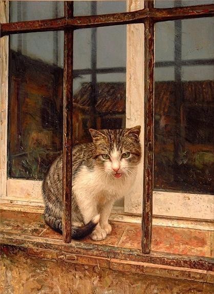 你站在窗外看风景,看风景的猫在窗外看你