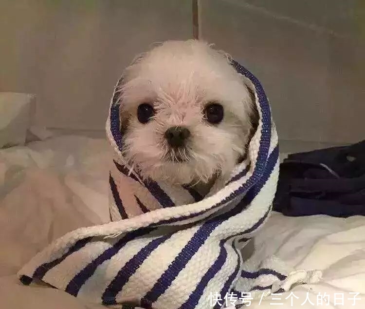  天儿■冷空气再“发威”！北京今夜迎雨雪，8级阵风也要来了！