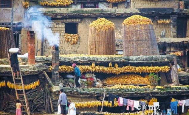 云南这个城子村百家相连，你家屋顶我家庭院，那是故乡的原风景