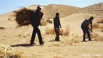  沙丘|中国治沙, 世界点赞! 每天“锁”住上千亩流动沙丘, 喝掉十