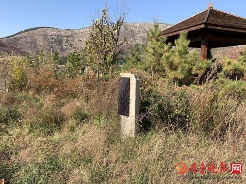 这处山体公园咋没人管？家门口的公园日渐荒废，市民觉得很可惜