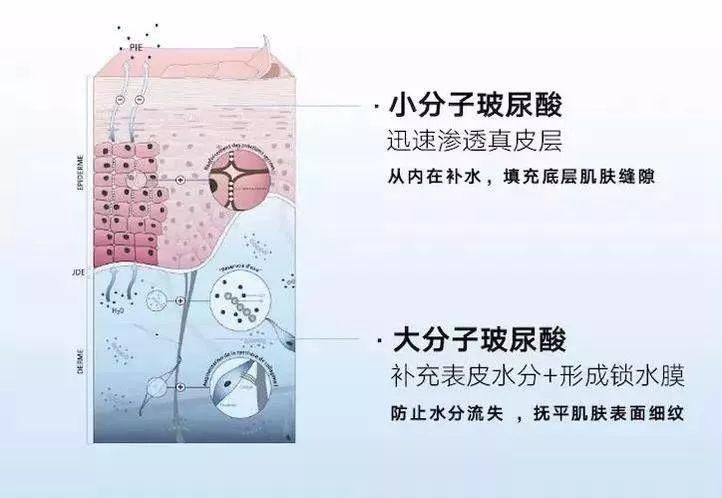 末伏将至!忽略这个步骤，湿热邪气一起找上门…